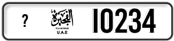 10234