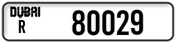 r80029
