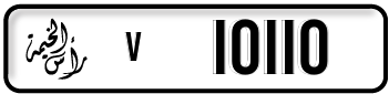 v10110