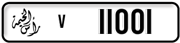 v11001