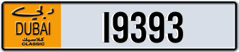 19393