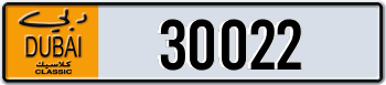 30022